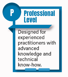 2023ProfessionalLevel
